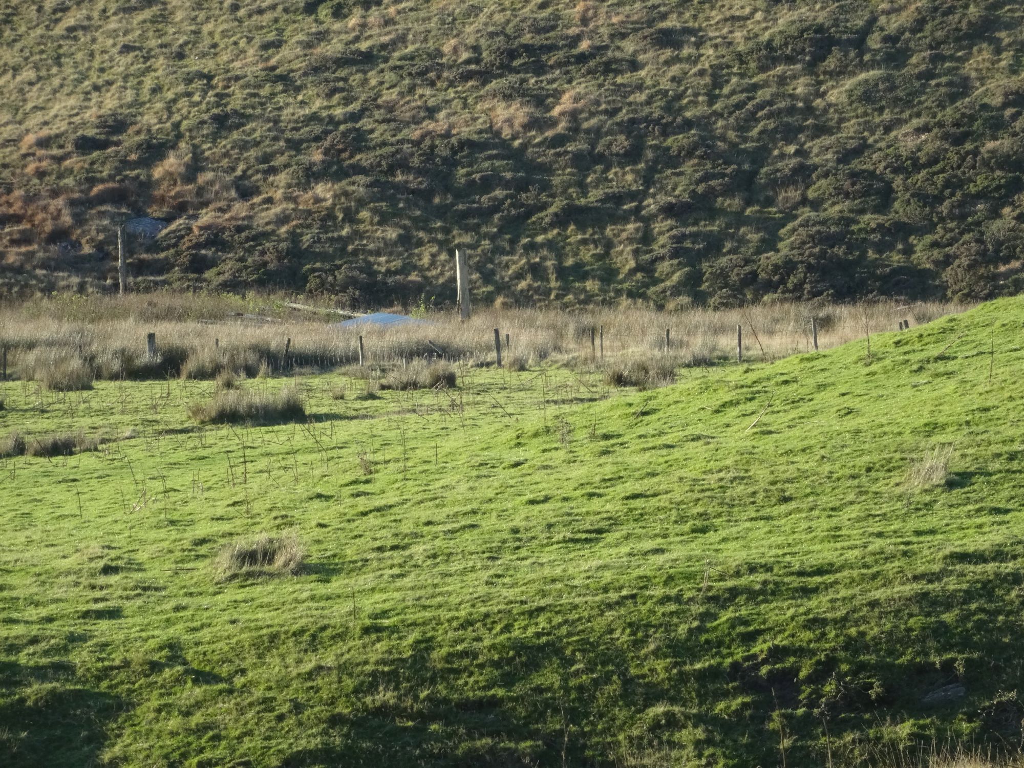 RachelSeabrook.net | Wild Walking | Moel y Llyn | pic12
